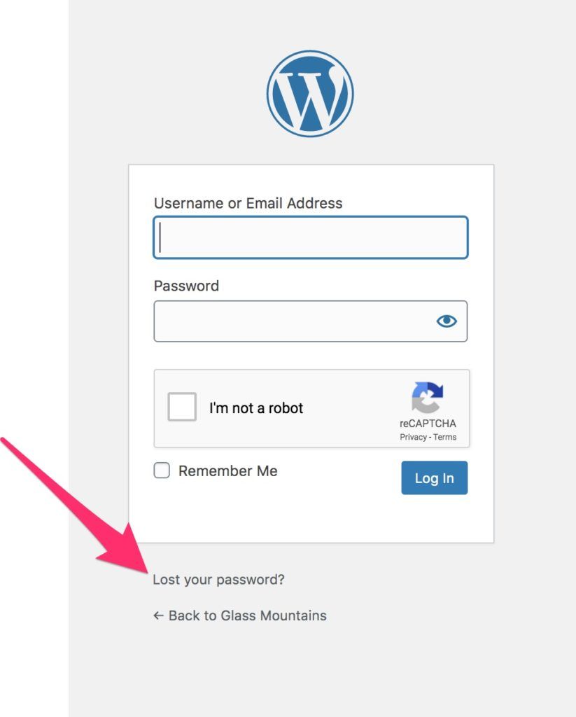 "Lost your password' link in WordPress login