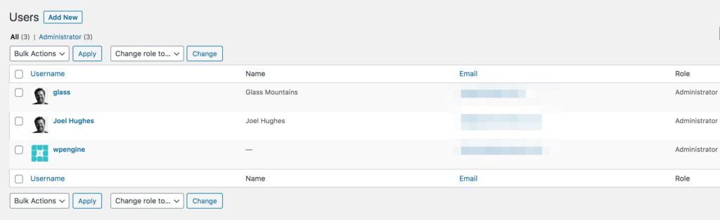 Example list of users in WordPress Wp-admin section