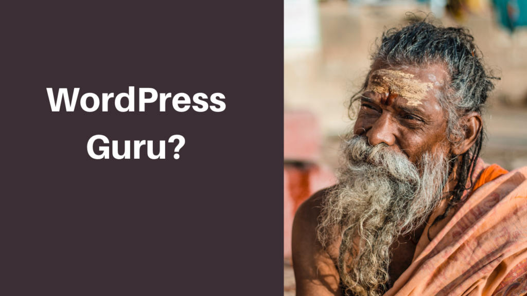 WordPress Guru?