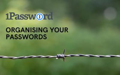 1password - an overview of the password management system