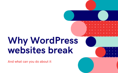 Why WordPress Websites Break